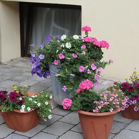 Aktivurlaub Morandell Penzion Sölden