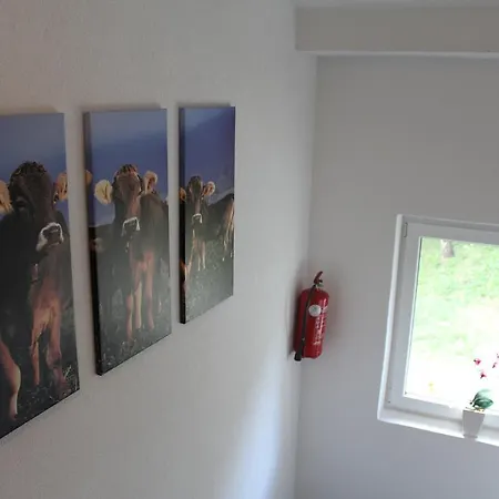 Aktivurlaub Morandell Sölden